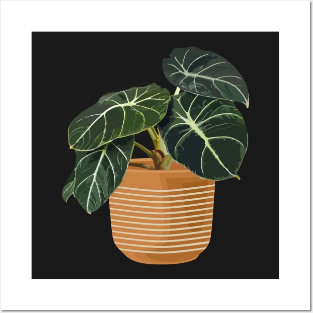 Alocasia black velvet Wall Art by gronly